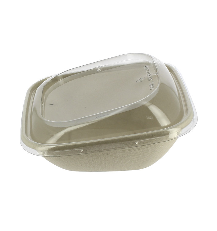 Suikerriet Container met Deksel 750ml 19x19x8cm (15 stuks) Suikerriet Container met Deksel 750ml 19x19x8cm (15 stuks)