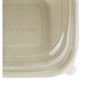 Suikerriet Container met Deksel 750ml 19x19x8cm (15 stuks) 