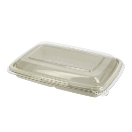 Suikerriet Container met Deksel 600ml 23x16x5cm (15 stuks)