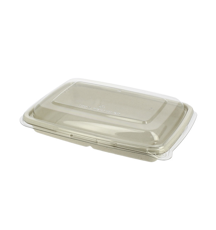 Suikerriet Container met Deksel 600ml 23x16x5cm (15 stuks) Suikerriet Container met Deksel 600ml 23x16x5cm (15 stuks)