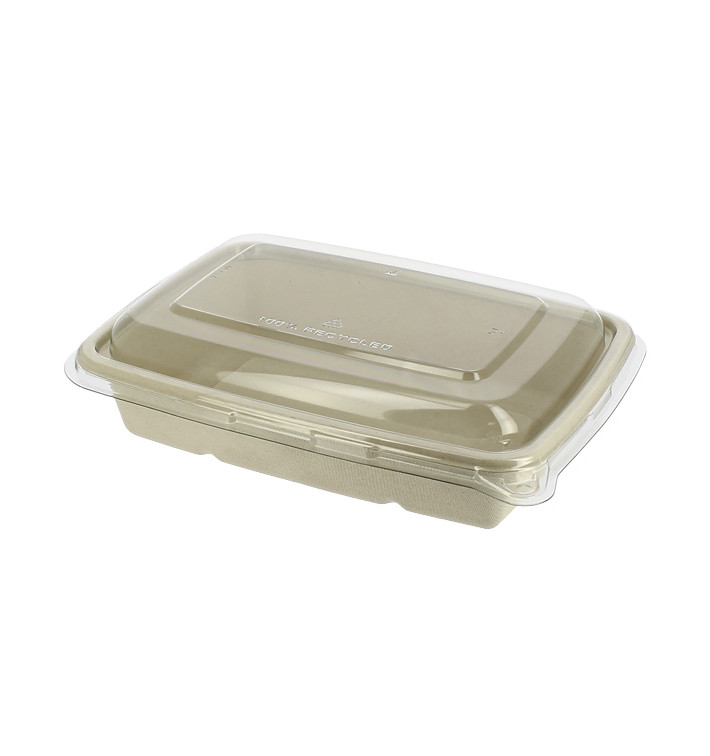Suikerriet Container met Deksel 950ml 23x16x6cm (15 stuks) Suikerriet Container met Deksel 950ml 23x16x6cm (15 stuks)