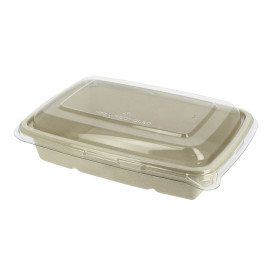 Suikerriet Container met Deksel 950ml 23x16x6cm (90 stuks)