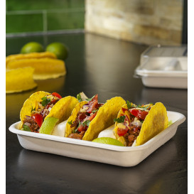 Bakje voor Suikerriet Taco's Wit 18,5x18,5cm (50 Stuks)