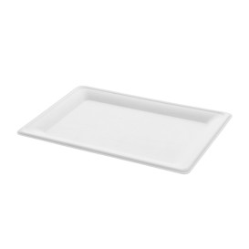 Suikerriet dienblad wit 20x28 cm (320 stuks)