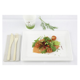 Suikerriet dienblad wit 20x28 cm (320 stuks)