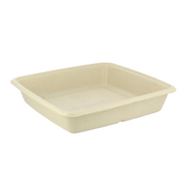 Suikerriet Container 1000ml 23x23x3cm (300 stuks)