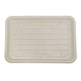Suikerriet dienblad 46x30cm (25 stuks) 
