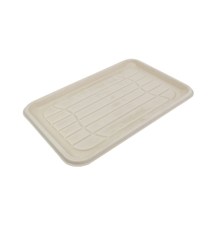 Suikerriet dienblad 46x30cm (100 stuks) Suikerriet dienblad 46x30cm (100 stuks)