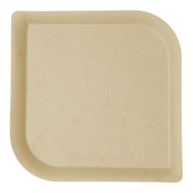 Suikerriet bord Bagasse en Bamboe 23,8 cm (400 stuks)