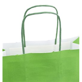 Papieren zak met handgrepen Groen 100g/m² 22+9x23cm (25 stuks)