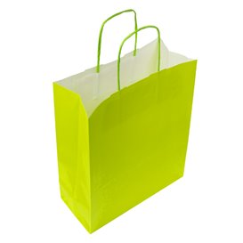 Papieren zak met handgrepen Groen 100g/m² 22+9x23cm (25 stuks)