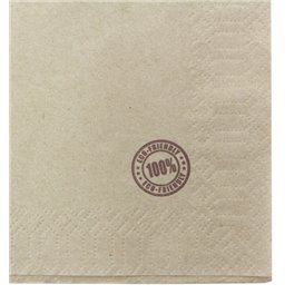 Papieren servet Eco "Recycled" 33x33cm 1C (4800 stuks)