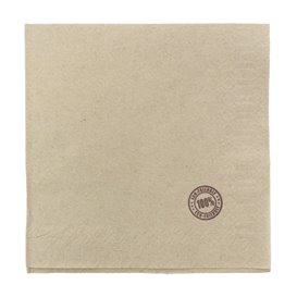 Papieren servet Eco "Recycled" 33x33cm 1C (4800 stuks)