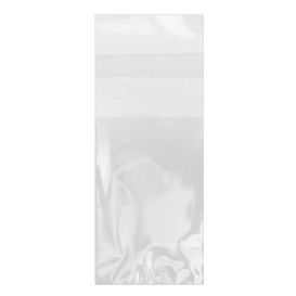 Plastic zak met Zelfklevende flap Cellofaan 4x6cm G-160 (100 stuks) 