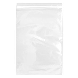 Plastic zakken zelfklevende flap CPP G160 25x35cm (100 stuks)