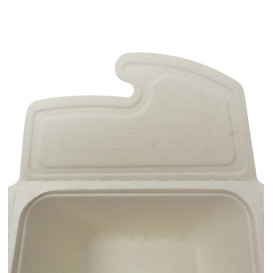 Pakket Suikerriet Box to Go 17x13x7cm 750ml. (200 stuks)