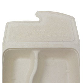 Pakket Suikerriet Box to Go 2C 21x15x5cm 800ml (50 stuks)