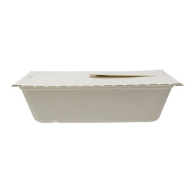 Pakket Suikerriet Box to Go 21x15x5cm 1000ml. (50 stuks)