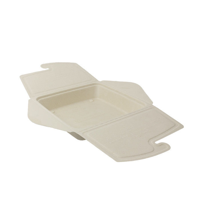 Pakket Suikerriet Box to Go 21x21x4cm 1350ml (50 stuks) Pakket Suikerriet Box to Go 21x21x4cm 1350ml (50 stuks)
