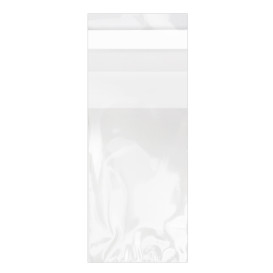 Plastic zak met Zelfklevende flap Cellofaan 4x6cm G-160 (100 stuks) 