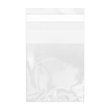 Plastic zak met Zelfklevende flap Cellofaan 5,5x5,5cm G-160 (1000 stuks)