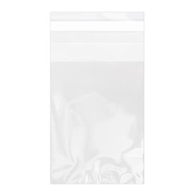 Plastic zak met Zelfklevende flap Cellofaan 7x10cm G-160 (100 stuks) 