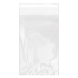 Plastic zak met Zelfklevende flap Cellofaan 12x18cm G-160 (100 stuks) 