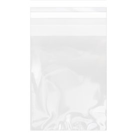 Plastic zak met Zelfklevende flap Cellofaan 15x22cm G-160 (100 stuks) 