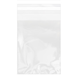 Plastic zak met Zelfklevende flap Cellofaan 15x22cm G-160 (100 stuks) 