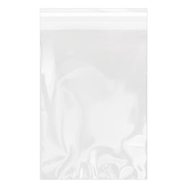 Plastic zak met Zelfklevende flap Cellofaan 20x30cm G-160 (100 stuks) 