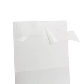 Plastic zak met Zelfklevende flap Cellofaan 5,5x5,5cm G-160 (1000 stuks)