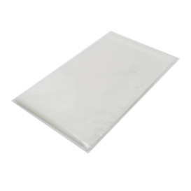 Plastic zak met Zelfklevende flap Cellofaan 22x32cm G-160 (100 stuks) 