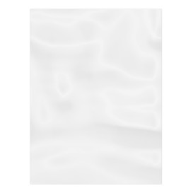 Plastic zak G100 30x40cm (100 stuks) 