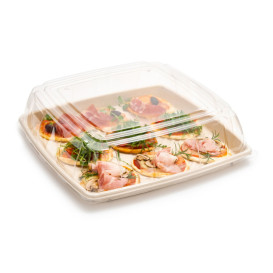Plastic PET Deksel transparant 40x40cm (5 stuks) 