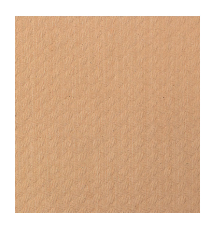 Papieren tafelkleed rol zalm 1x100m 40g (6 stuks) Papieren tafelkleed rol zalm 1x100m 40g (6 stuks)