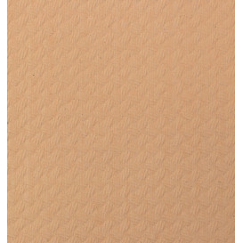 Papieren tafelkleed rol zalm 1x100m 40g (1 stuk) 