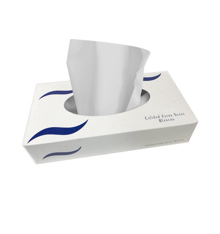 Gezichts tissue 2 laags 100 stuks (1 stuk) Gezichts tissue 2 laags 100 stuks (1 stuk)