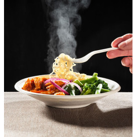 Suikerriet kom Bagasse Noodle wit 470ml (400 stuks)