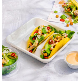 Bakje voor Suikerriet Taco's Wit 18,5x18,5cm (50 Stuks)
