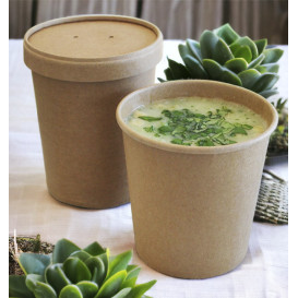 Kraft-Kraft Kartonnen Pot 350ml Ø9,0cm (25 Stuks)