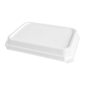 Papieren warmte afsluitbaar Container kraft 750ml 19,2x13,7x4,1cm (65 stuks) 
