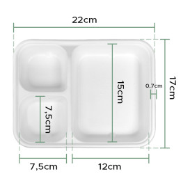 Suikerriet Snackbakjes 17x5,5x3,8cm (1000 stuks)