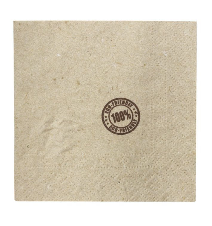 Papieren servet Eco-Vriendelijk met Rand 2-laags 20x20cm (100 stuks) Papieren servet Eco-Vriendelijk met Rand 2-laags 20x20cm (100 stuks)