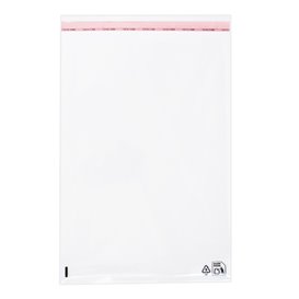Plastic zak met Zelfklevende flap Cellofaan 25x35cm G-160 (1000 stuks)