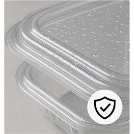 Plastic scharnierende Deli-Container PET Vierkant 250ml (900 stuks)