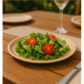 Palm blad bord Rond vormig Ø25cm (200 stuks)