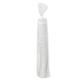 Papieren Ijs Container Eco-Vriendelijk 100ml (1680 stuks)